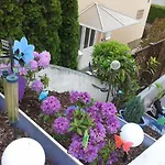 Apartment Galina 1