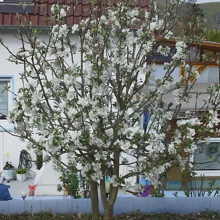 Galina 1 Rockenhausen