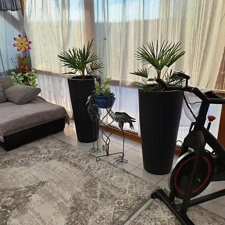 Apartment Galina 1