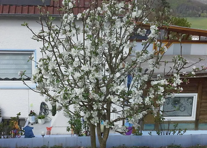 Galina 1 Rockenhausen