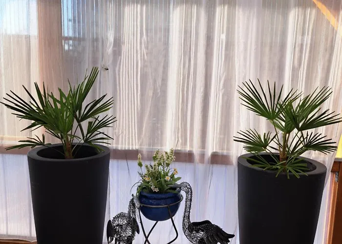 Galina 1 Rockenhausen